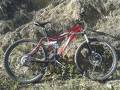 foto de ROBADA! MONGOOSE