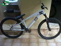 foto de Cuadro DiamonBack Response 