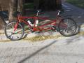 foto de Vendo   Tandem mtb