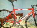 foto de Vendo GIANT SL
