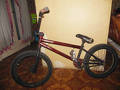 foto de Vendo Mirra oddysey wtp