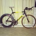 foto de Vendo Marco Pantani 