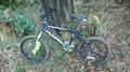 foto de Bicicleta