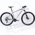 foto de CONSULTA  ZENITH 29ER