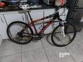 foto de Vendo giant xtc