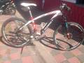 foto de Vendo Specialized,WORKS