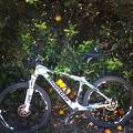 foto de bianchi-carbono