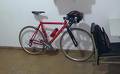 foto de Vendo Pantani verona