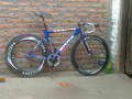 foto de Vendo cuadro sars elite----52