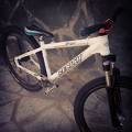 foto de Zenith Saga MX