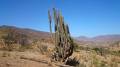 foto de Escalada por el desierto, Valle del Choapa