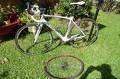 foto de Vendo TREK MADONE