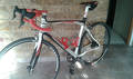 foto de Vendo Bottecchia Octavio