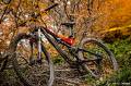 foto de Specialized stumpjumper carbon 29