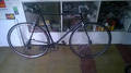 foto de Vendo Privitera Fixie 