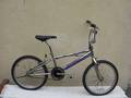 Bicicleta HARO Freestyle - USA