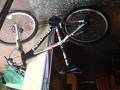 foto de Mi primer btt
