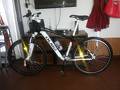 foto de Vendo OLMO ALL TERRA ROD 26