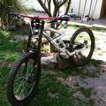 foto de Vendo Scott Gambler 