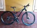 foto de Vendo Giant revel 29