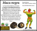 MACA NEGRA ORGÁNICA PREMIUM