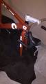 foto de Vendo Cuadro colner k 12 pista y crono talle 52 con caja campagnolo y movimiento de frente