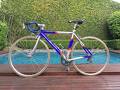 foto de Vendo bicicleta ruta pantani