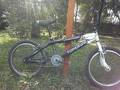 foto de Vendo upland golden wheel group