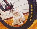 foto de la bici es la casita
