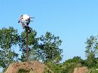 foto de Fluyendo dirtjump