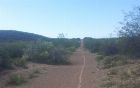 foto de Caminante no hay camino. se hace el camino al andar