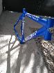 foto de Vendo Fire bird track 2015 