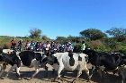 foto de Un rural bike con todas las letras