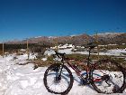 foto de La negra en la nieve serrana.