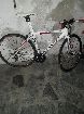  Mazzi 990 full 105