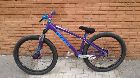 foto de Viole, Giant STP 01