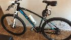 foto de Vendo olmo terra