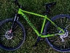 Cannondale 29