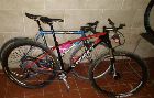 foto de Vendo Specialized 