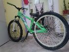 foto de Nueva MTB file bird