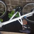 foto de Bicicleta rod 26 monotubo  Caloi