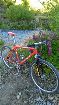 foto de Specialized Stumpjumper M2 1997