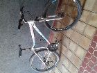 foto de Vendo SLP pro lady 100
