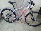 foto de Vendo MTB firebird 29er