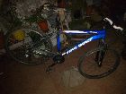 foto de Vendo Firebird xc pro