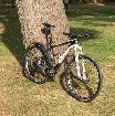 foto de Vendo Mtb Canyon CF SLX 29