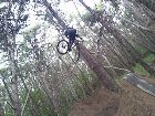 Whip parque