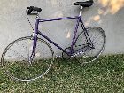 Bicicleta tipo Fixie