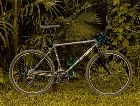 DBR AXIS TT (T...