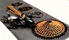  Grupo SRAM XX1 EAGLE GOLD 12V